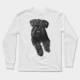 Bouvier Des Flandres Long Sleeve T-Shirt